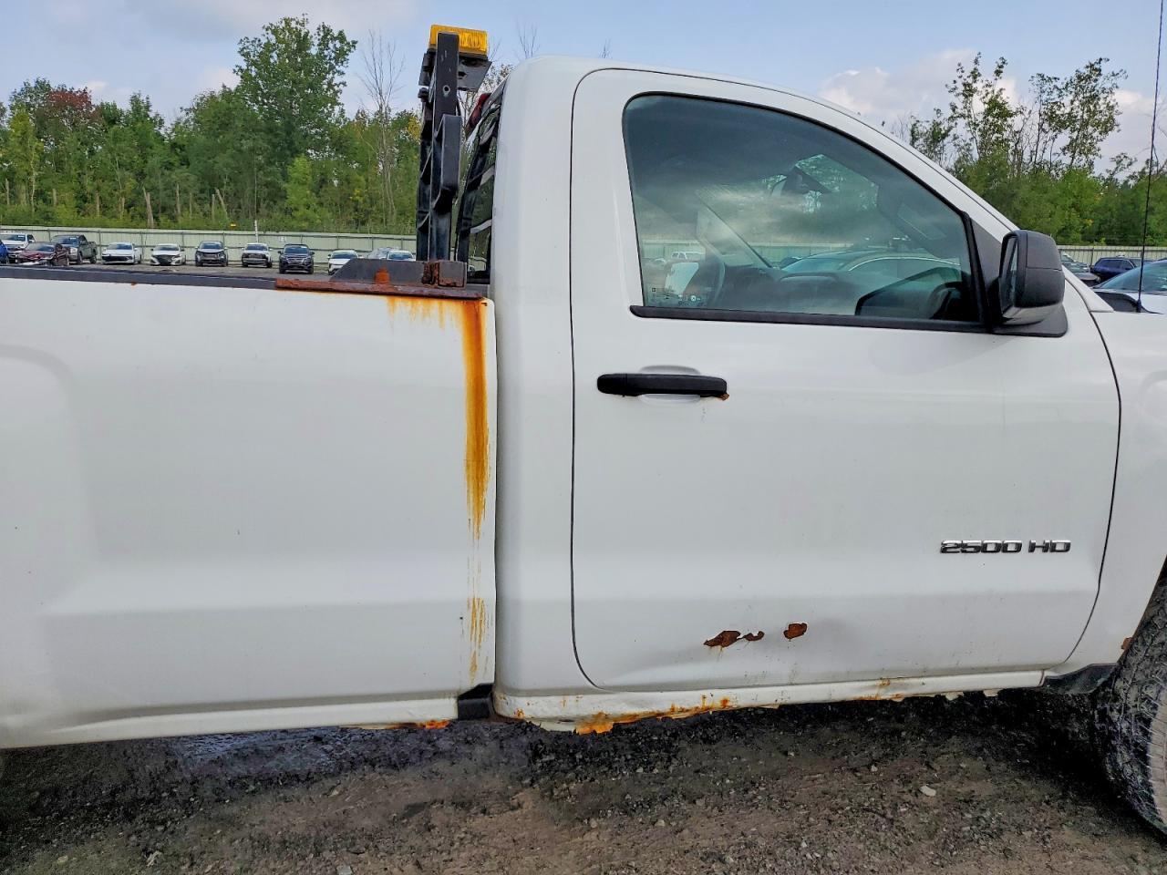 2018 CHEVROLET SILVERADO K2500 HEAVY DUTY — Фото 10 из 12