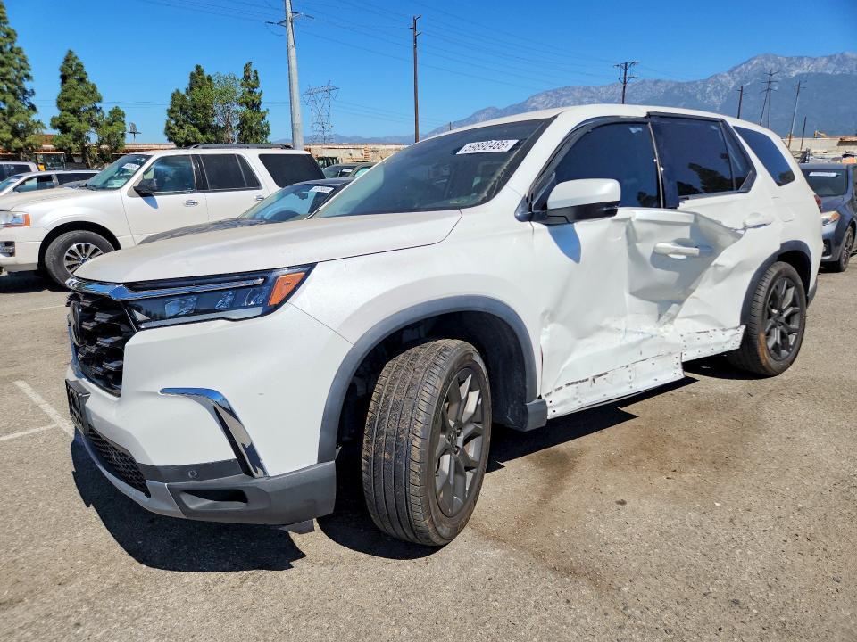 2024 HONDA PILOT 5FNYG2H75RB008900