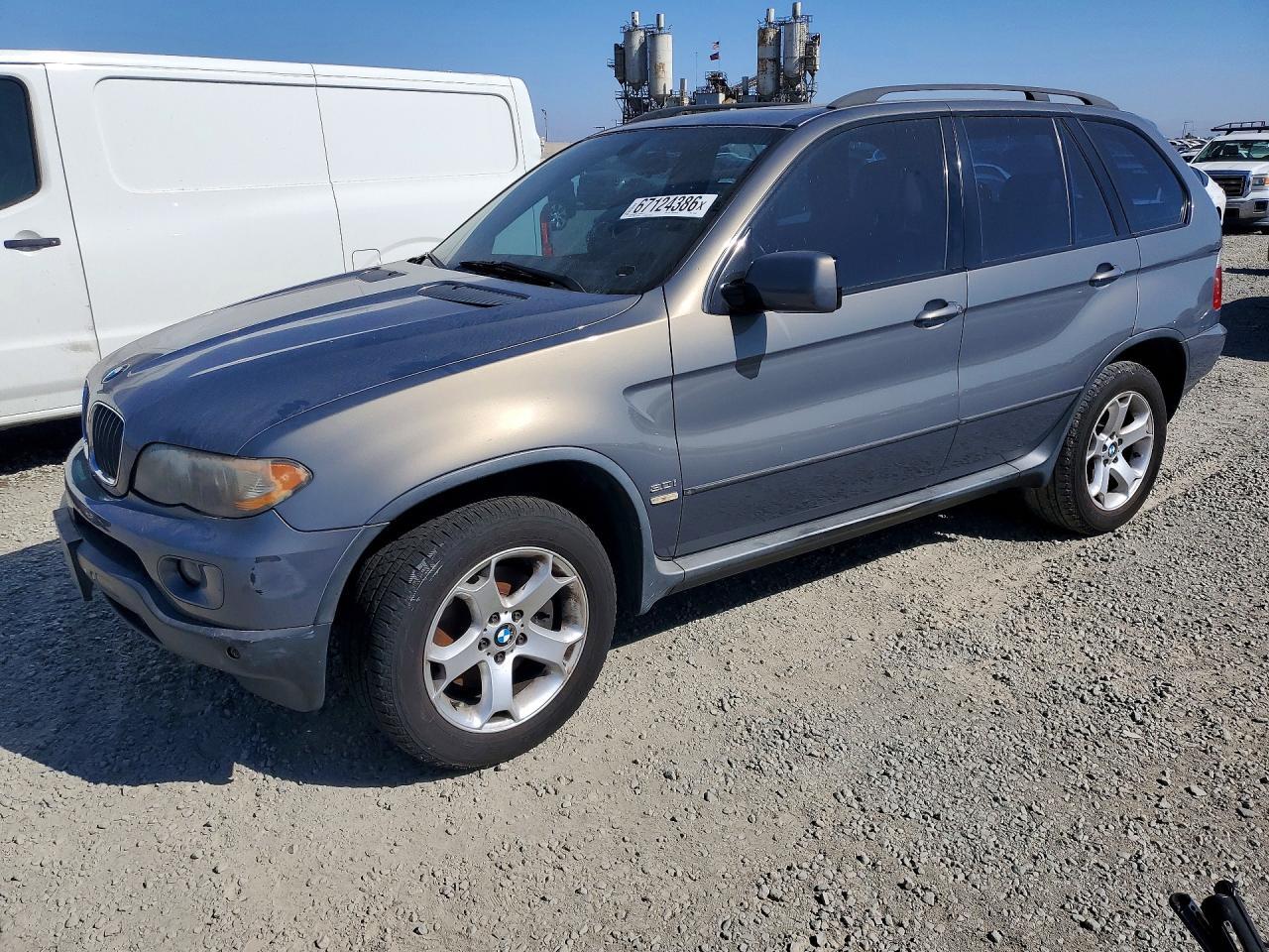 2006 BMW X5 5UXFA135X6LY19463