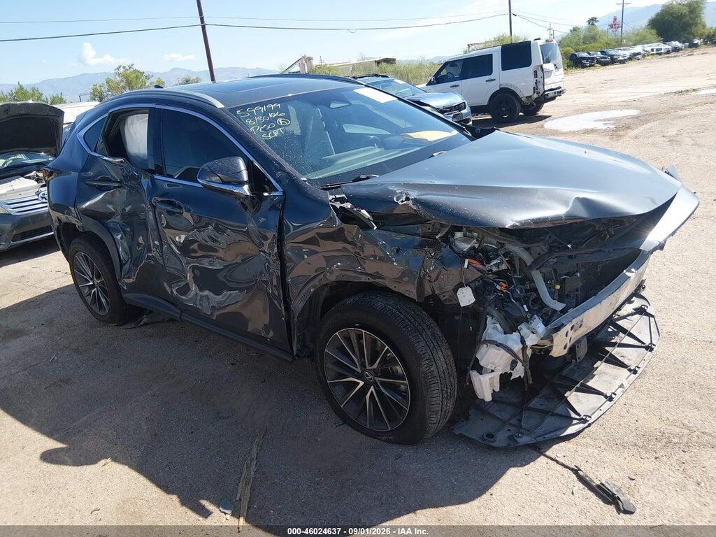 2024 LEXUS NX 350 2T2GGCEZ8RC048895