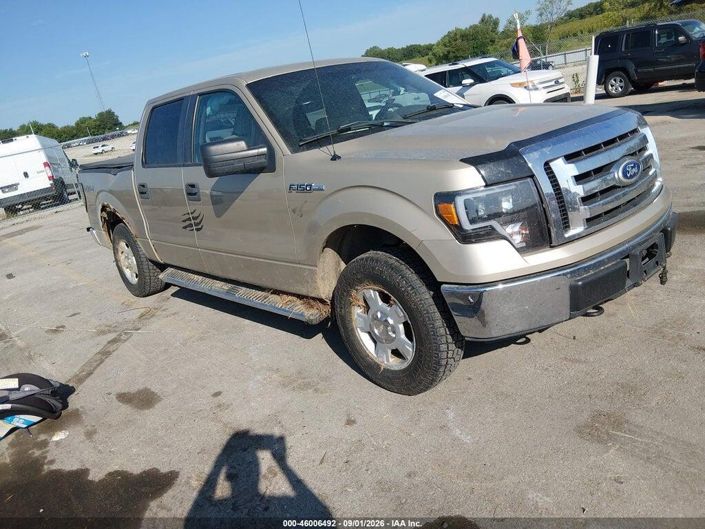 2010 FORD F-150 1FTEW1E8XAKC55351