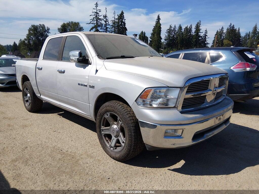 2009 DODGE RAM 1500 1D3HV13T99S711558