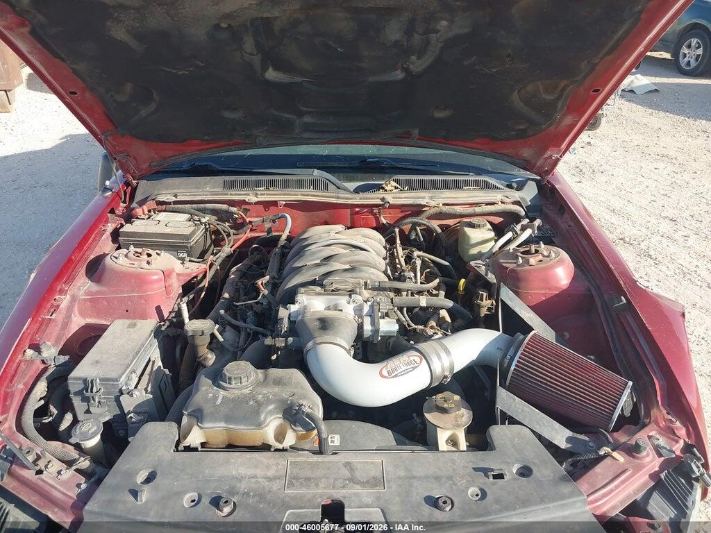 1ZVFT82H565163254 2006 FORD MUSTANG photo no. 10