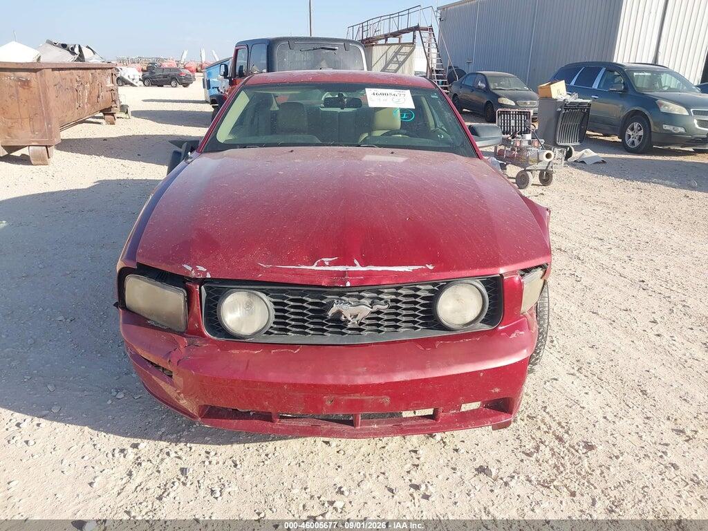 1ZVFT82H565163254 2006 FORD MUSTANG photo no. 12