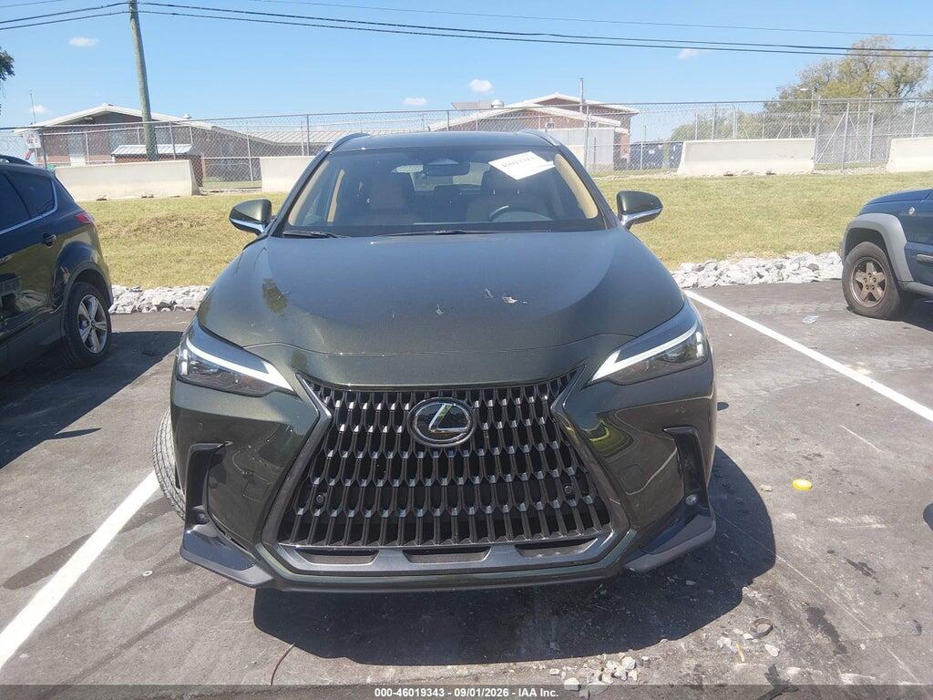 2T2AGCEZ0SC082583 2025 LEXUS NX 350 photo no. 12