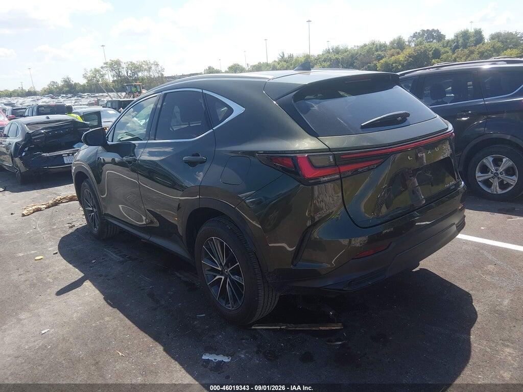 2T2AGCEZ0SC082583 2025 LEXUS NX 350 photo no. 3