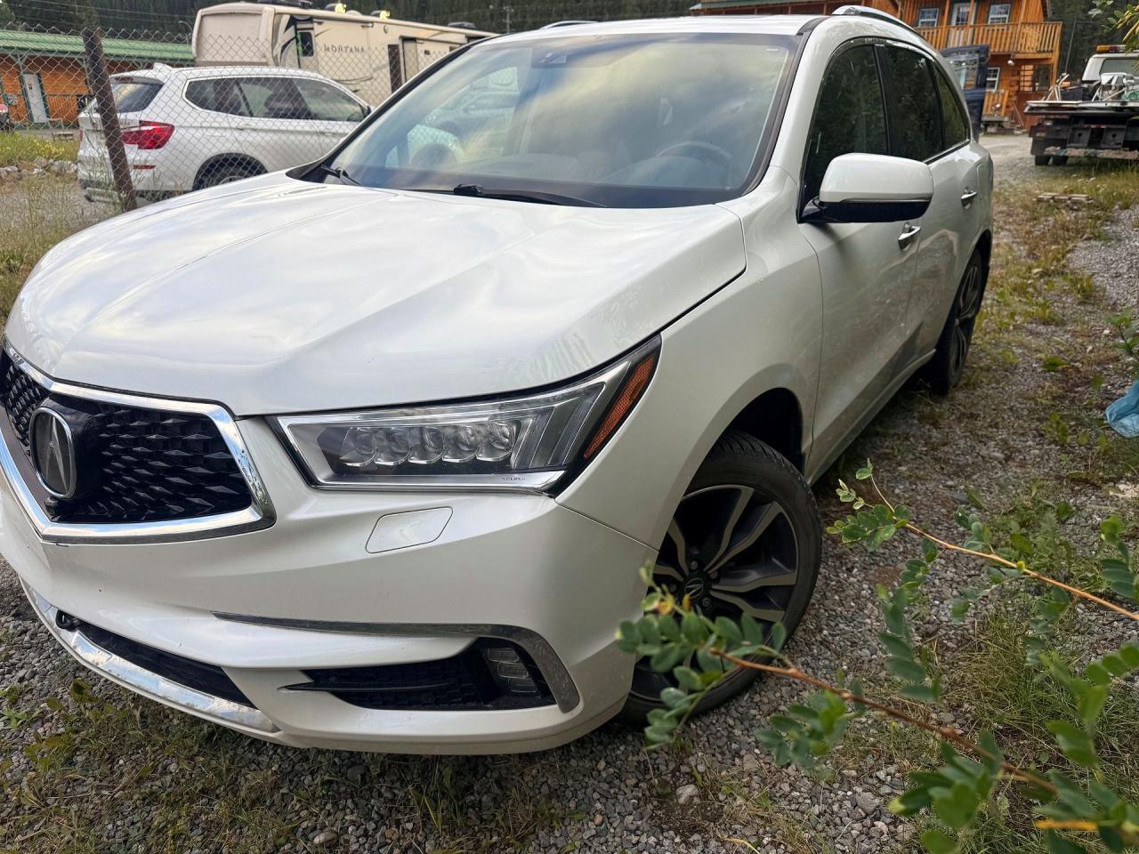 2019 ACURA MDX 5J8YD4H80KL801099
