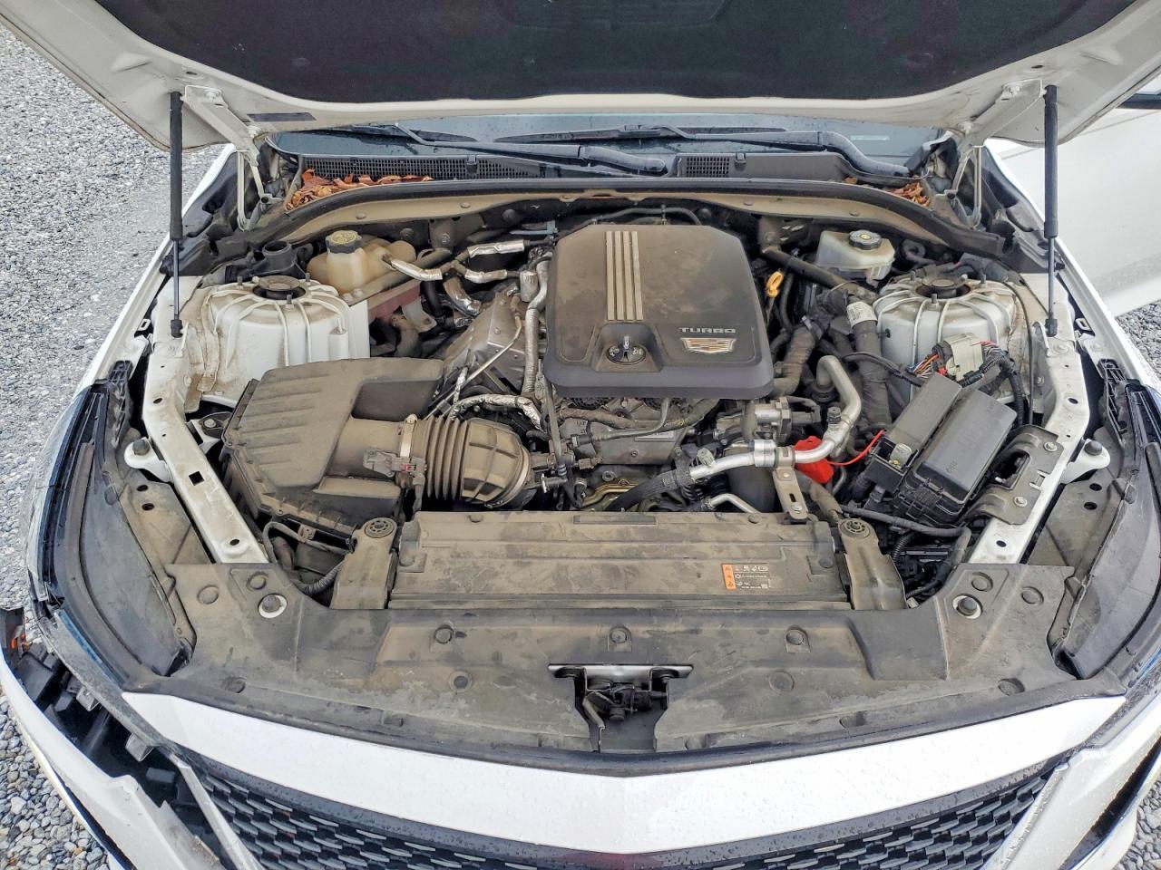 2021 CADILLAC CT5 PREMIUM LUXURY — Фото 11 из 12