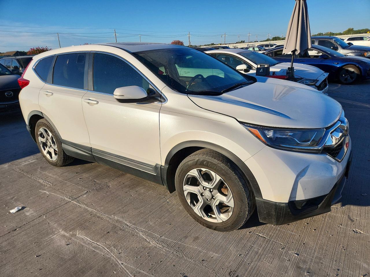 2019 HONDA CR-V EXL — Фото 4 из 13