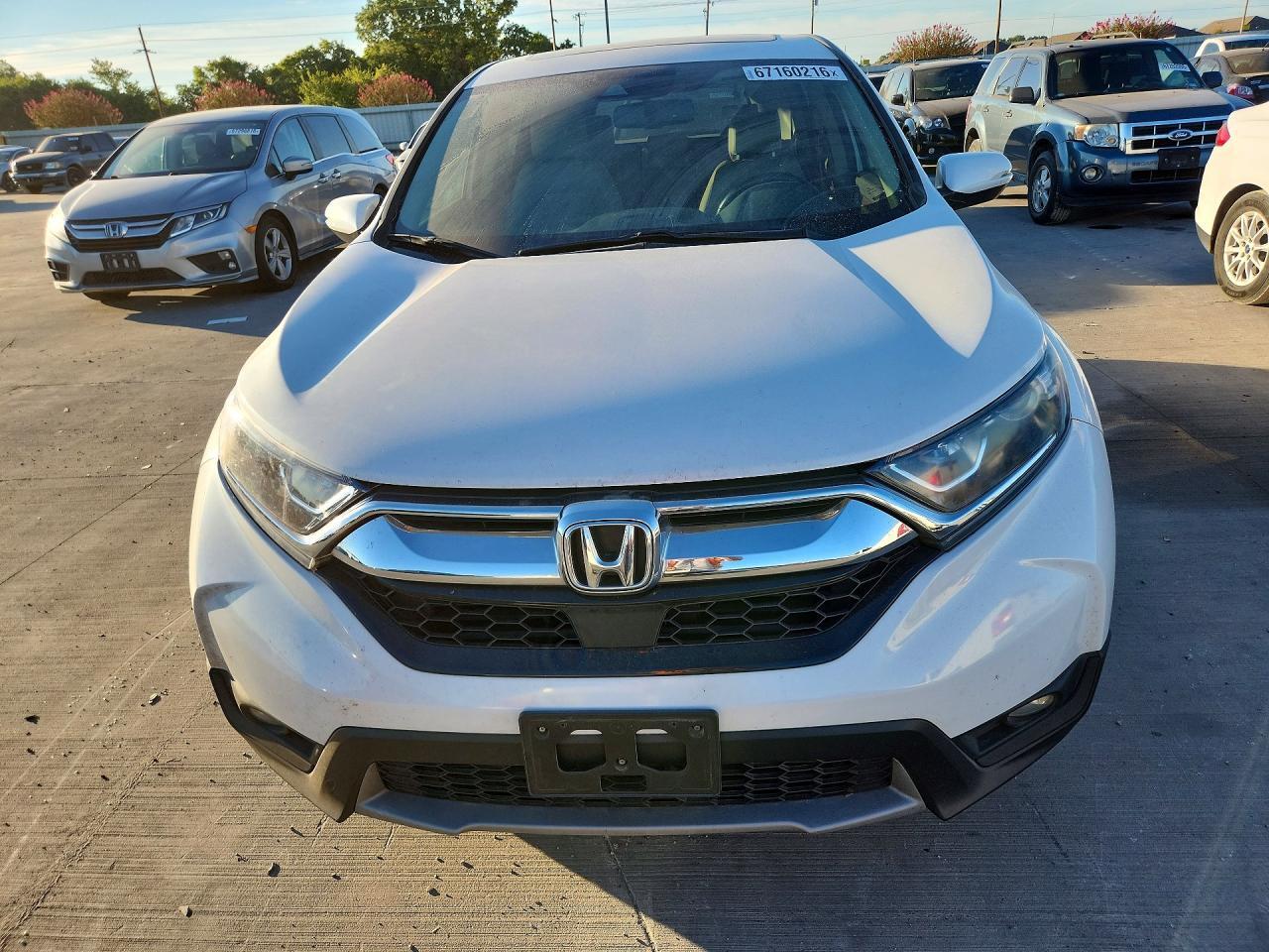 2019 HONDA CR-V EXL — Фото 5 из 13
