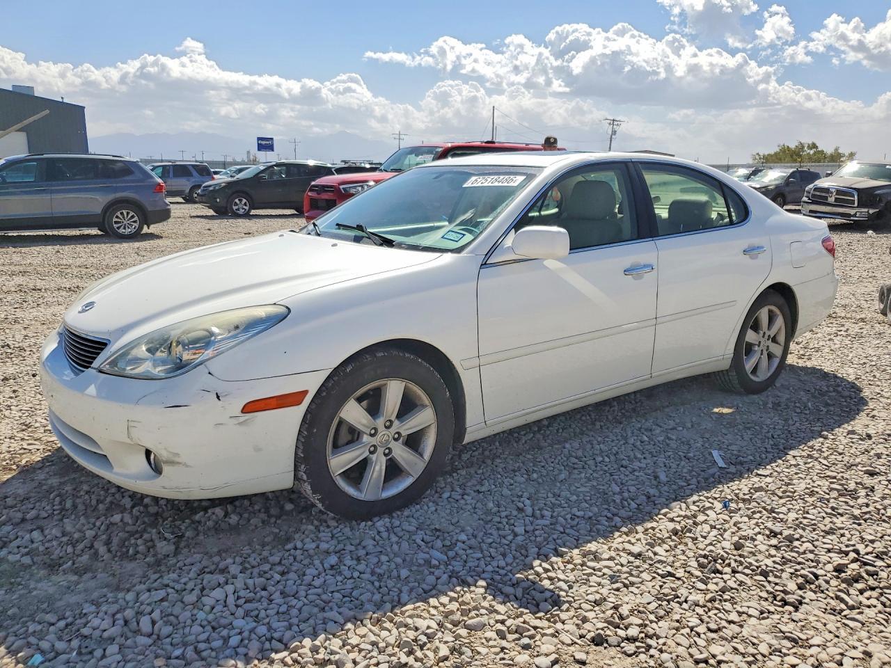 2005 LEXUS ES JTHBA30G355130920