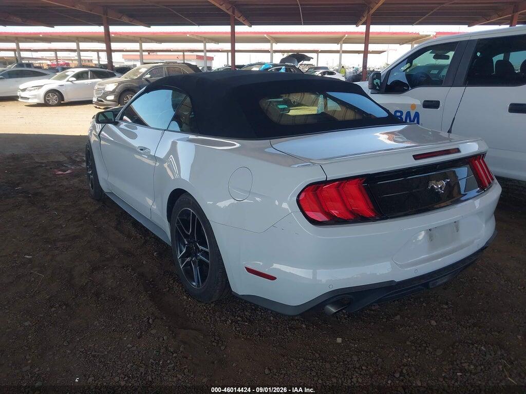 1FATP8UH3P5111569 2023 FORD MUSTANG photo no. 3