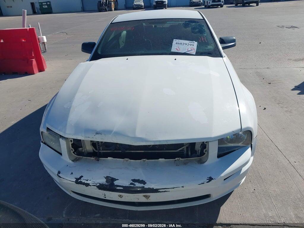 1ZVFT82H855258986 2005 FORD MUSTANG photo no. 12