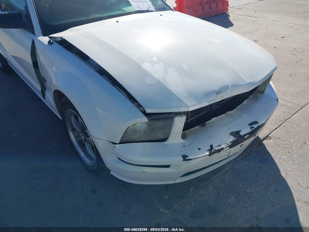 1ZVFT82H855258986 2005 FORD MUSTANG photo no. 6