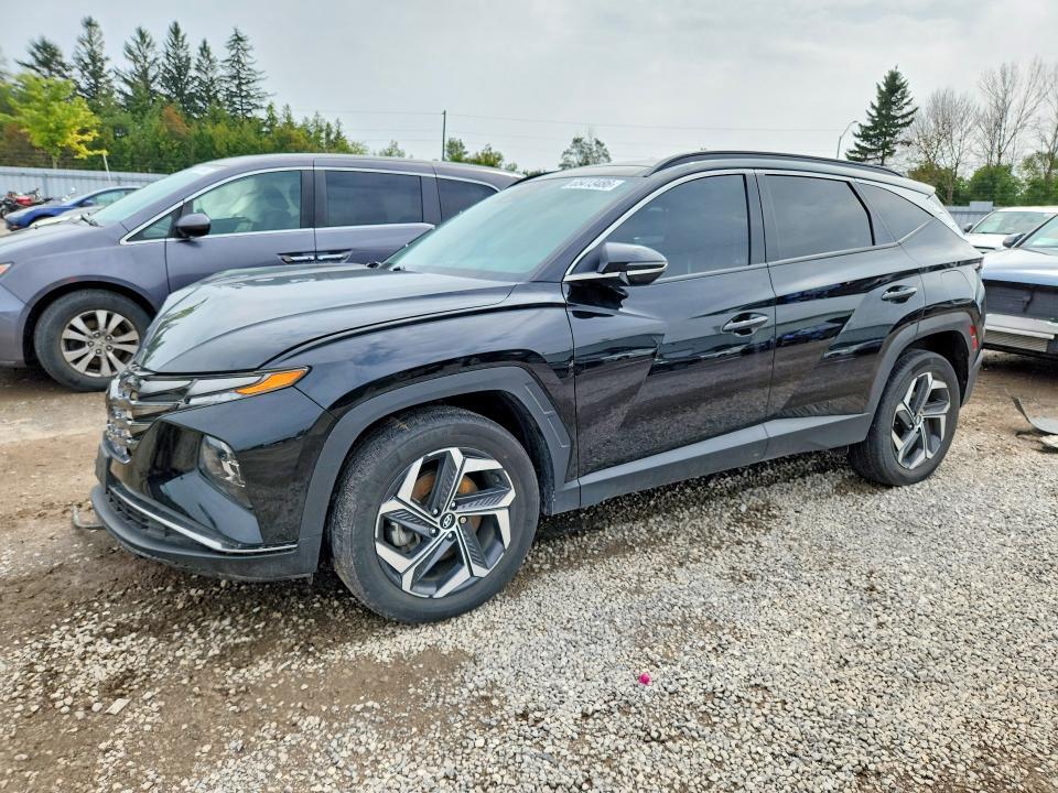 2022 HYUNDAI TUCSON KM8JCCA11NU054505