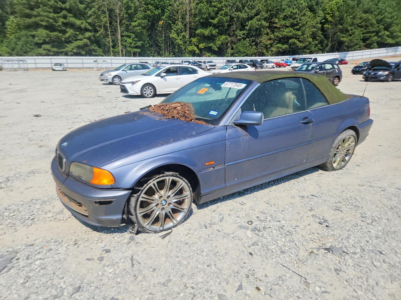 2002 BMW 330 WBABS53462JU89402
