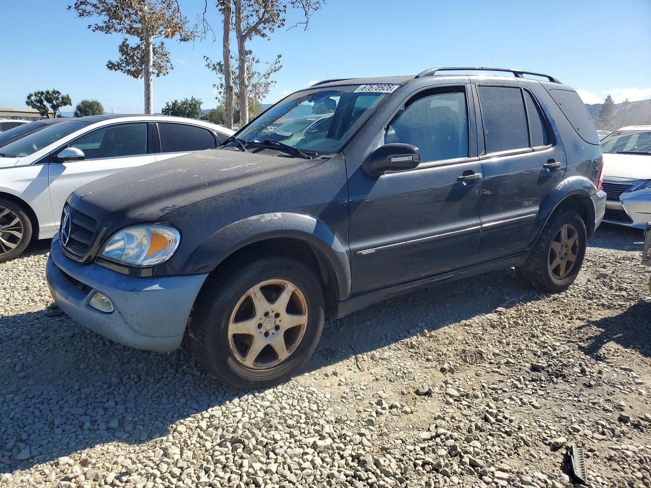 2002 MERCEDES-BENZ ML 4JGAB54E82A307930