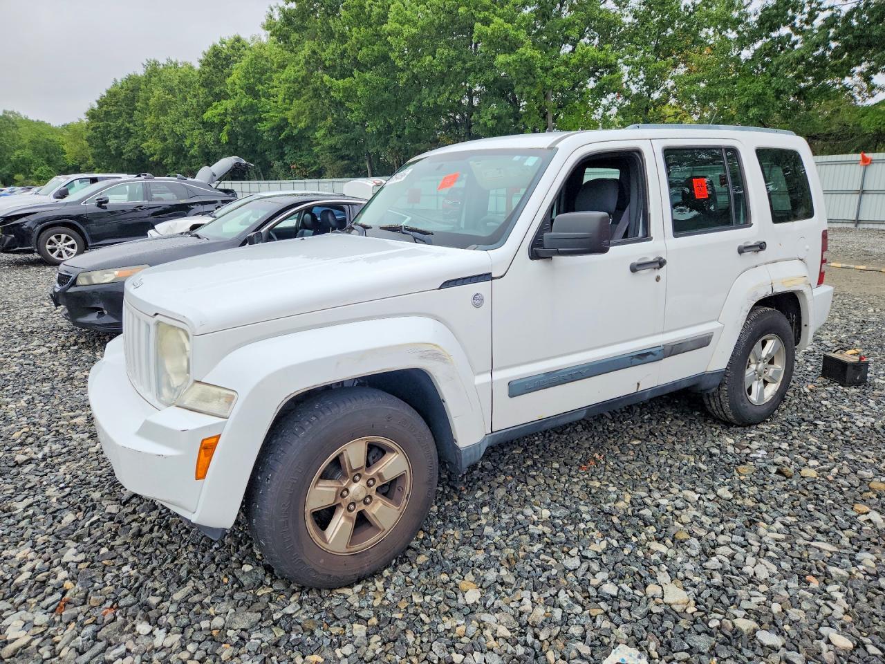 2011 JEEP LIBERTY 1J4PN2GK6BW521334