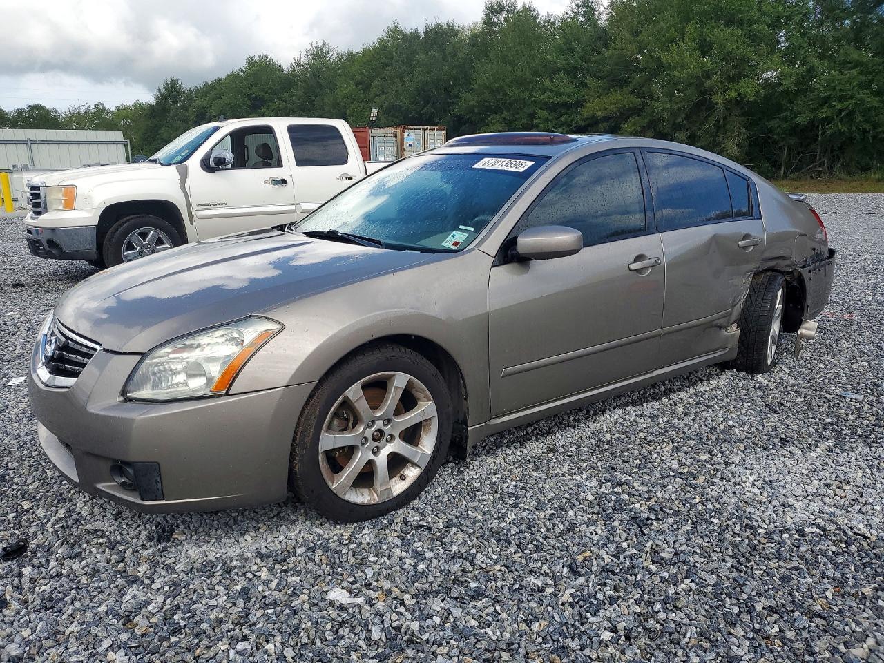 2008 NISSAN MAXIMA 1N4BA41E68C839139