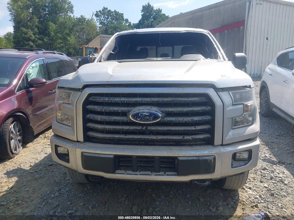 1FTEW1EP7HFB51636 2017 FORD F-150 photo no. 12