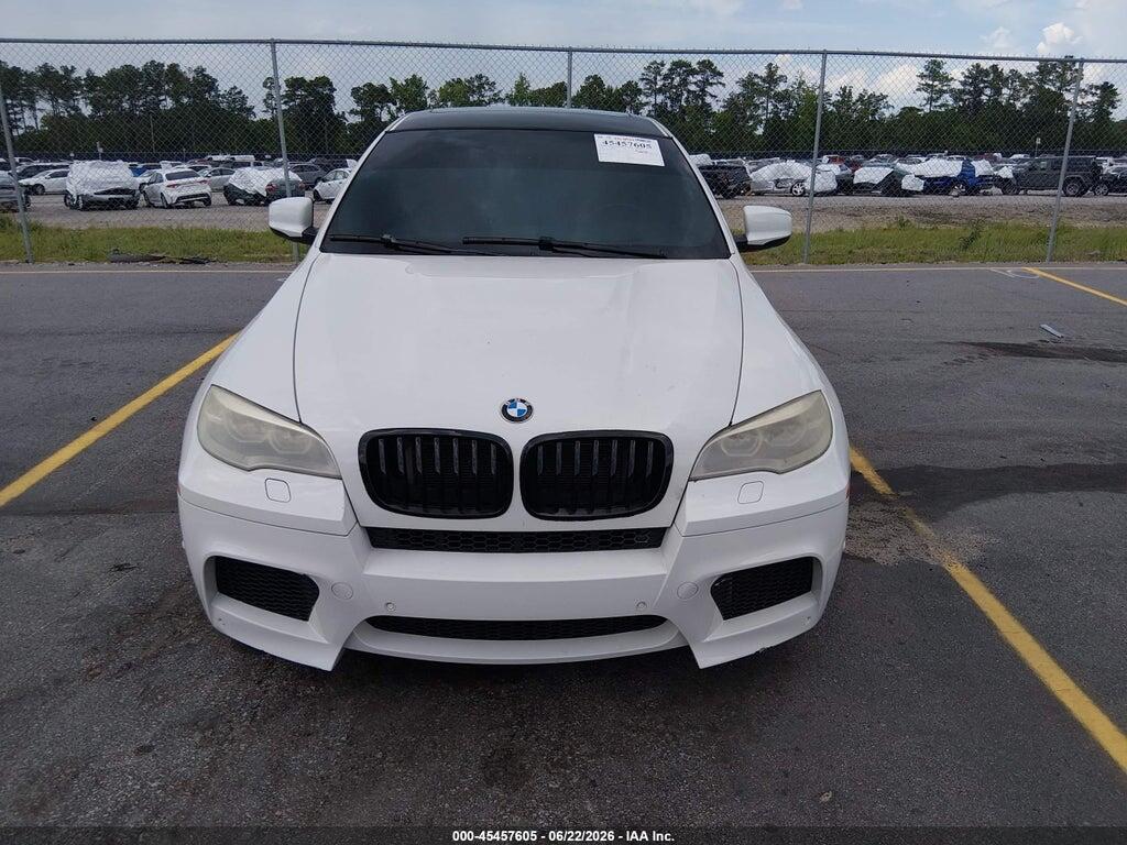 5YMGZ0C58E0C40314 2014 BMW X6 M photo no. 12
