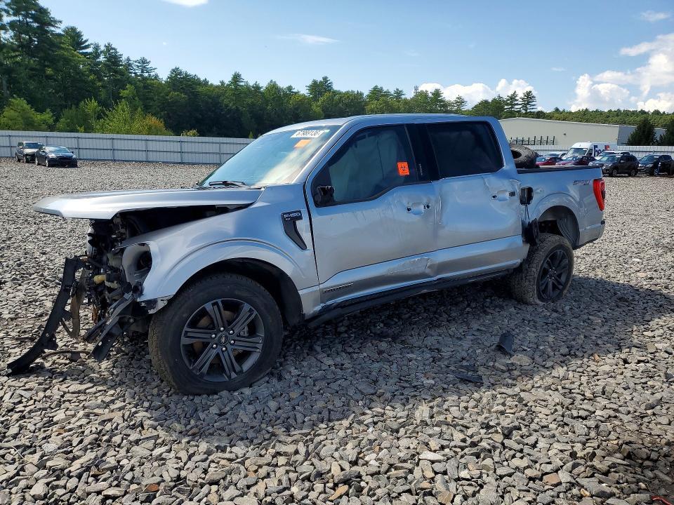 2023 FORD F150 1FTFW1ED3PFB33725