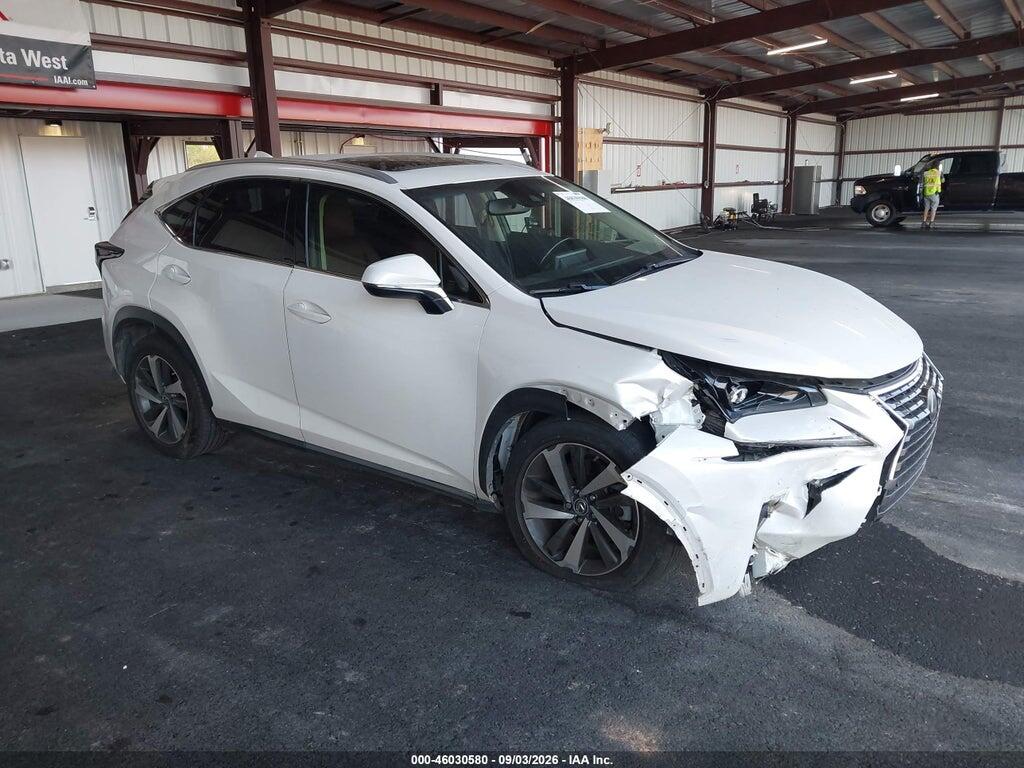 2019 LEXUS NX 300 JTJYARBZ0K2138688