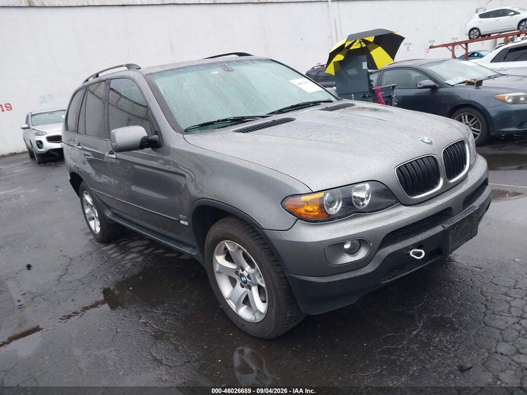 2005 BMW X5 5UXFA13525LY07094