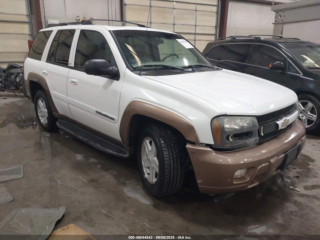 2002 CHEVROLET TRAILBLAZER 1GNDT13SX22239064