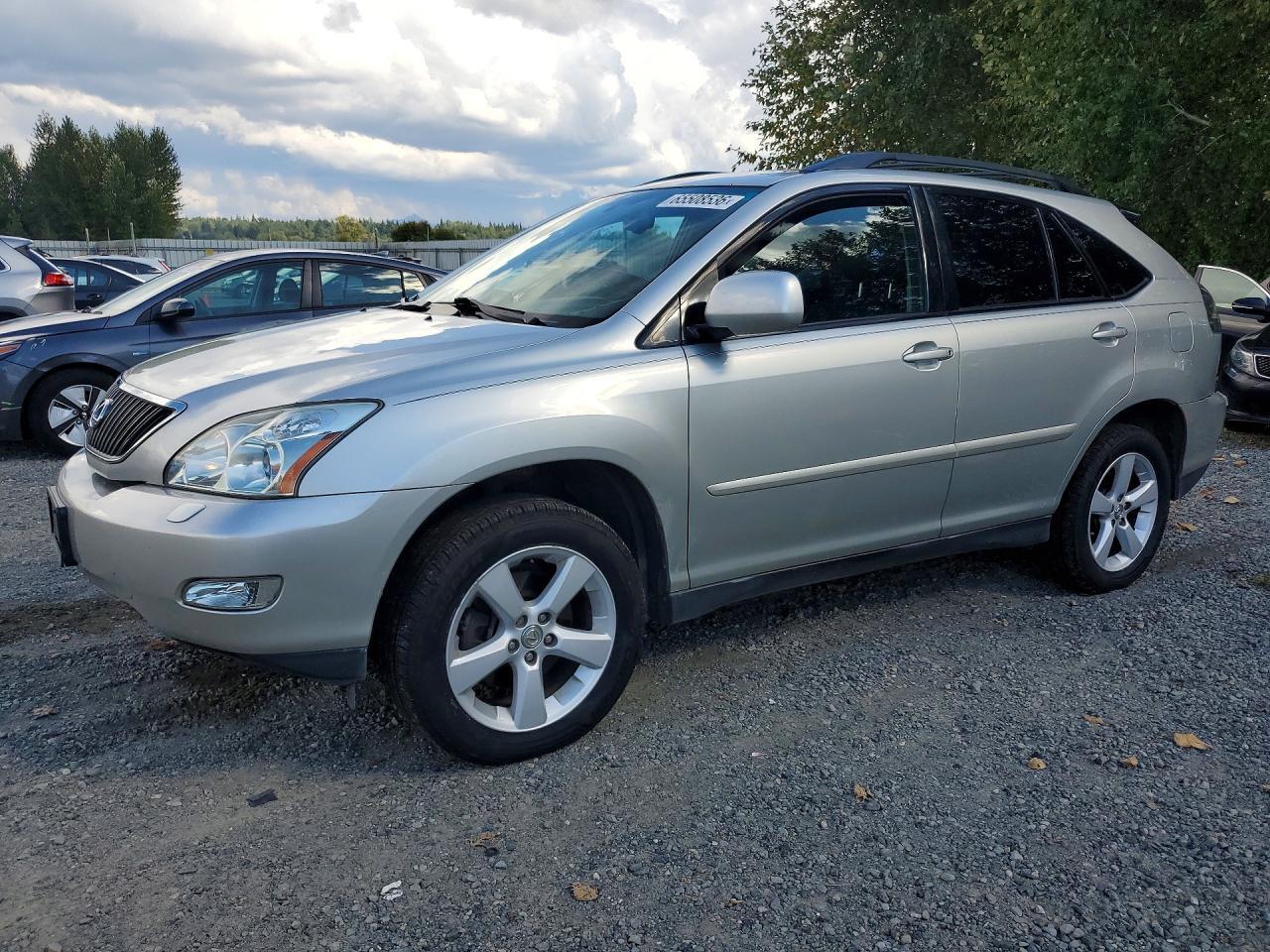 2006 LEXUS RX 2T2HA31U06C094121