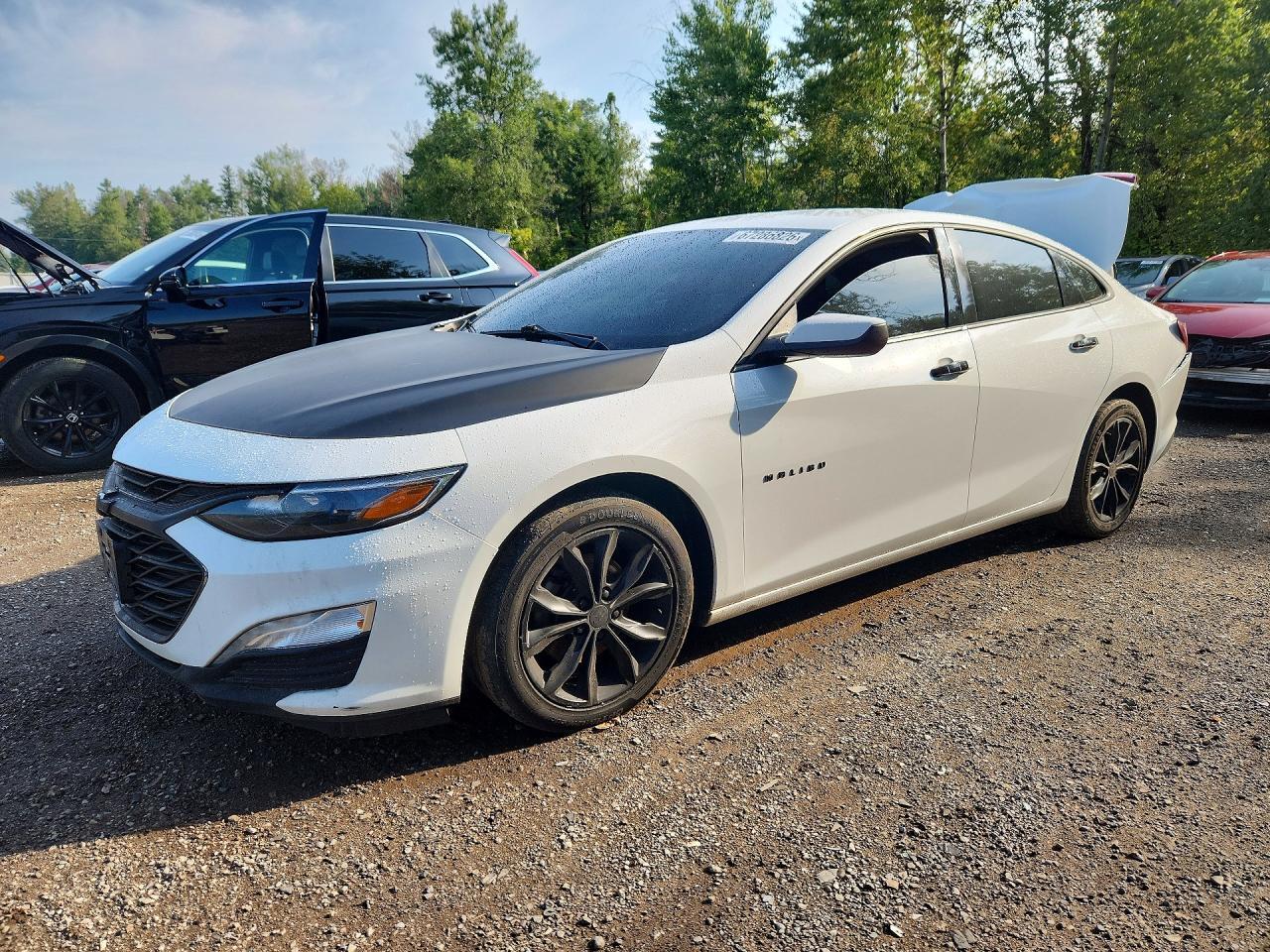 2019 CHEVROLET MALIBU 1G1ZD5ST8KF119469