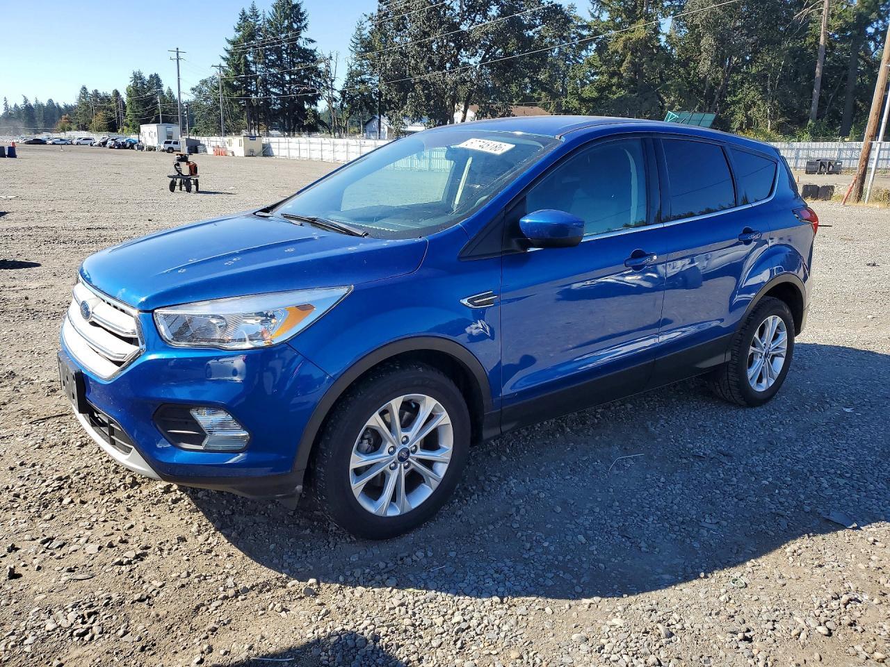 2019 FORD ESCAPE 1FMCU0GD1KUA55056