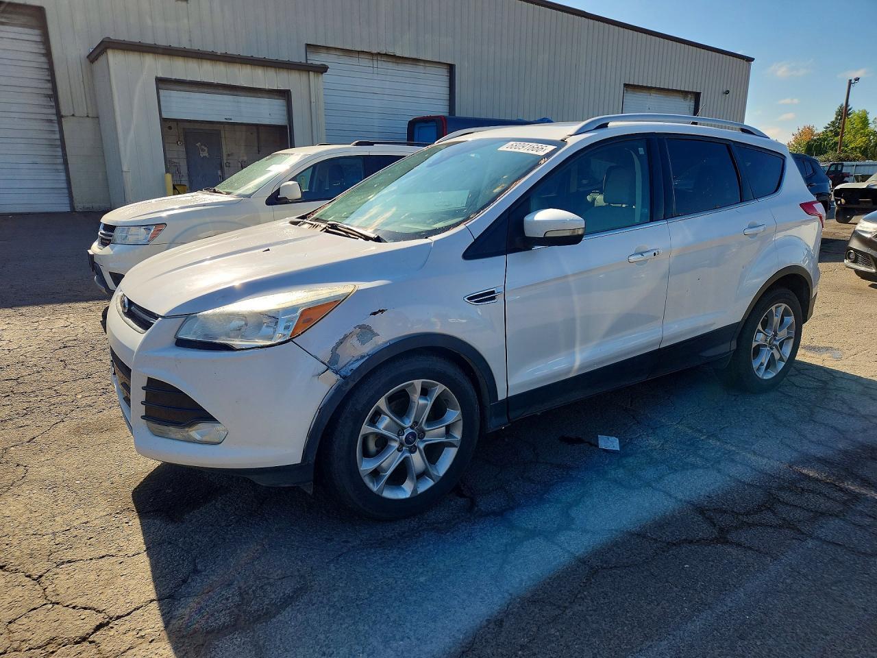 2014 FORD ESCAPE 1FMCU0JX5EUC52531