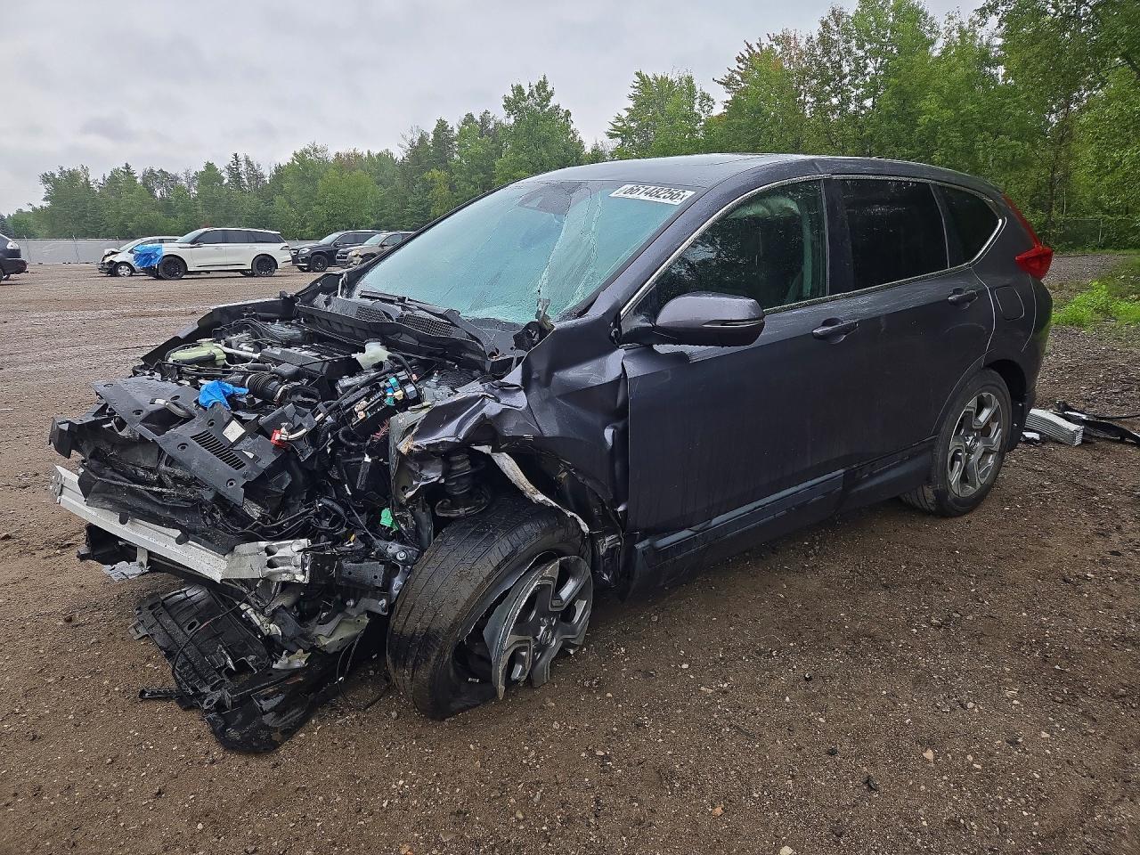 2018 HONDA CR-V 2HKRW2H53JH146916