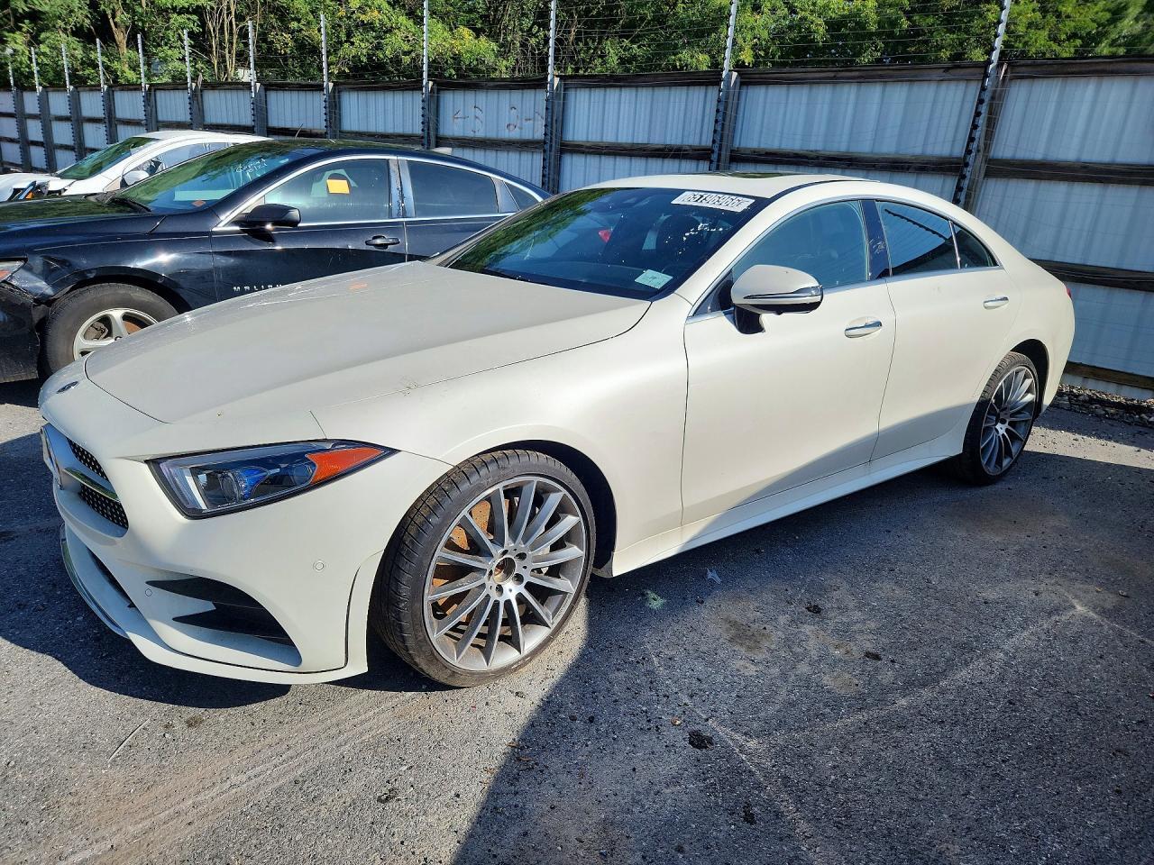 2019 MERCEDES-BENZ CLS WDD2J5JB9KA041443