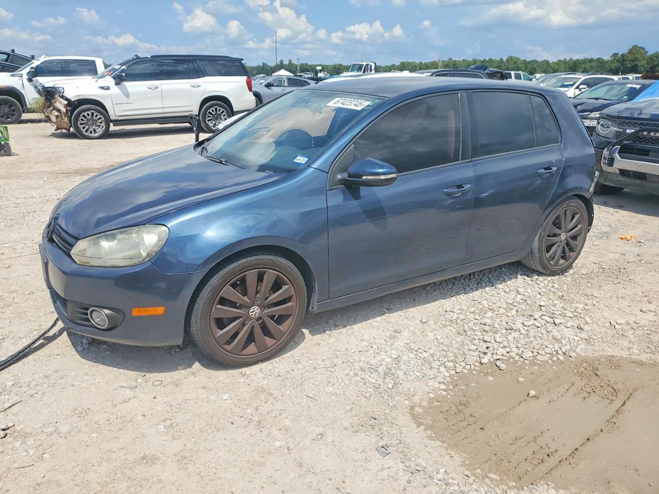2013 VOLKSWAGEN GOLF WVWDM7AJ0DW036084