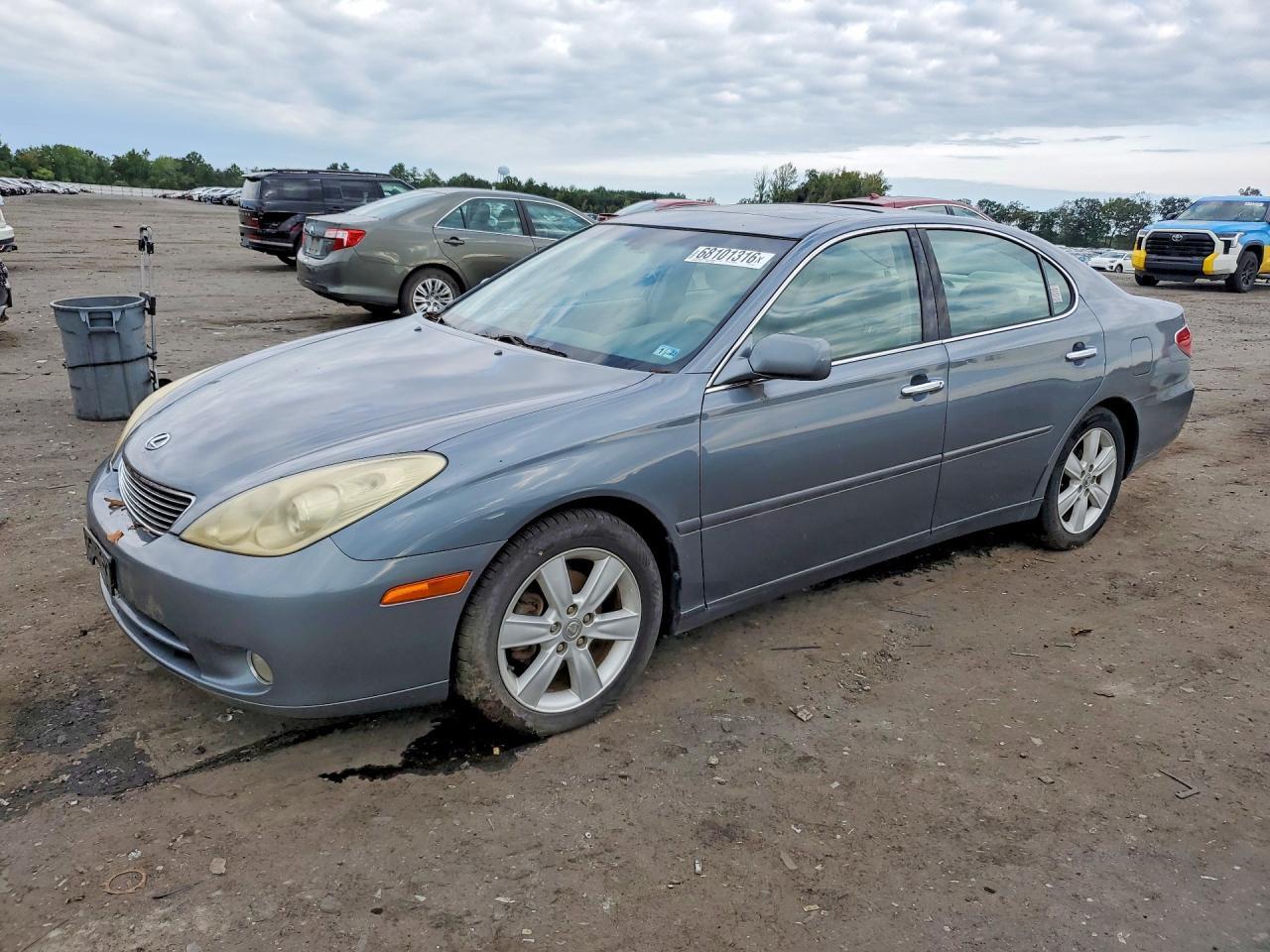 2006 LEXUS ES JTHBA30G965159923
