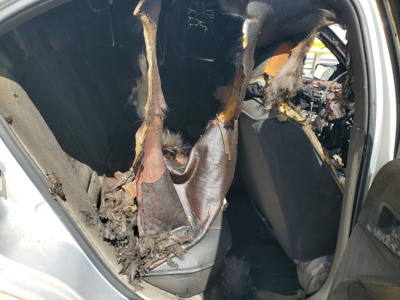 3FAHP0HA5AR431646 2010 FORD FUSION photo no. 10