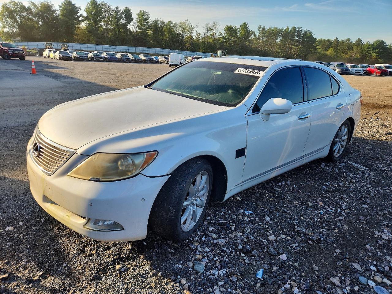 2009 LEXUS LS JTHBL46F095085519