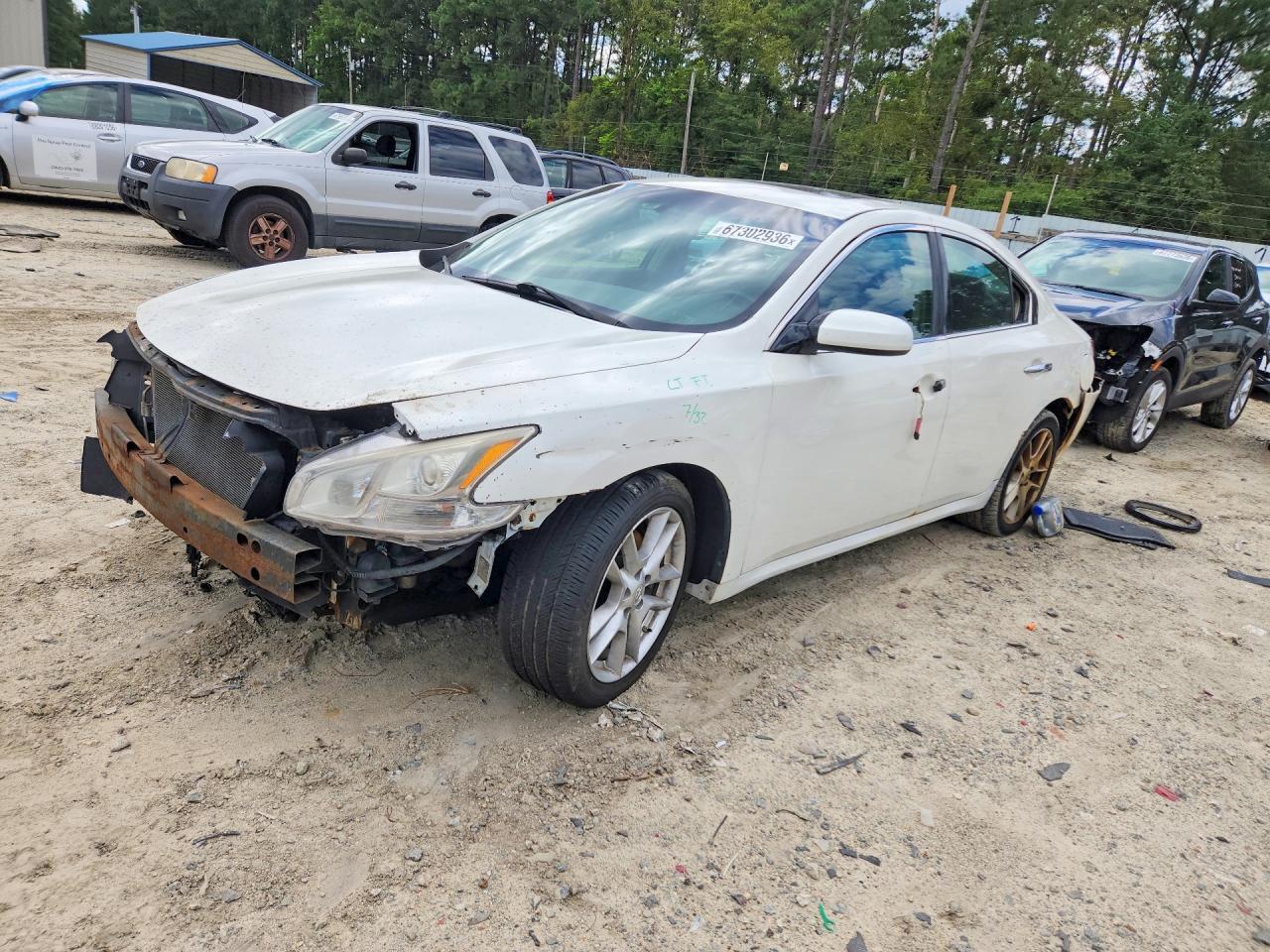 2009 NISSAN MAXIMA 1N4AA51E39C834239