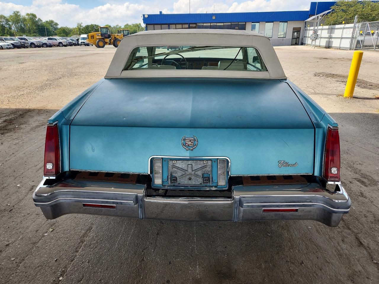 1981 CADILLAC ELDORADO — Фото 6 из 12