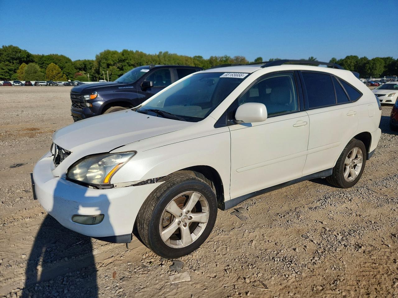2004 LEXUS RX JTJGA31U640009853