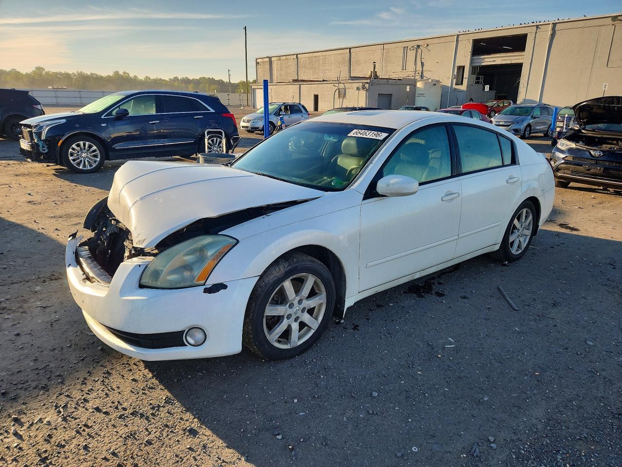 2004 NISSAN MAXIMA 1N4BA41E04C905453