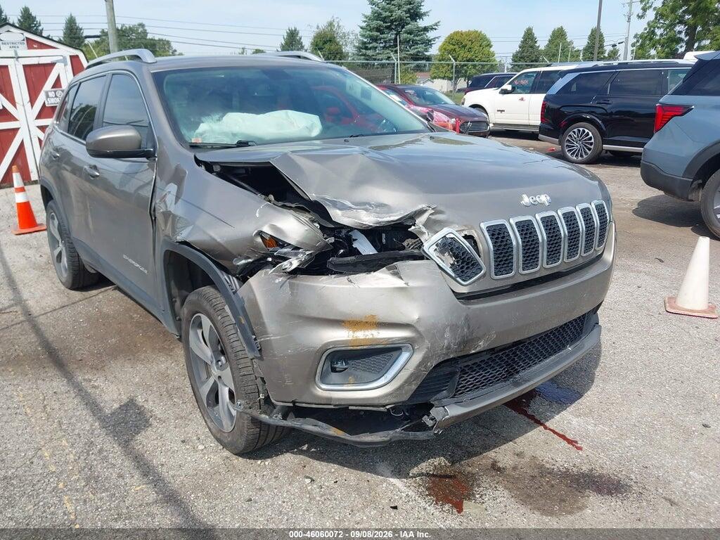 2019 JEEP CHEROKEE 1C4PJLDN6KD159829