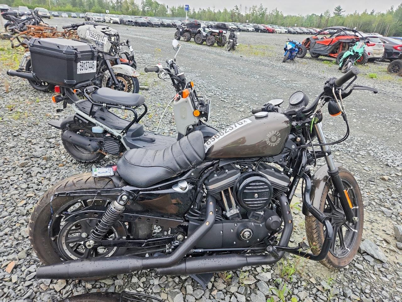 2020 HARLEY-DAVIDSON XL883 5HD4LE231LB403532