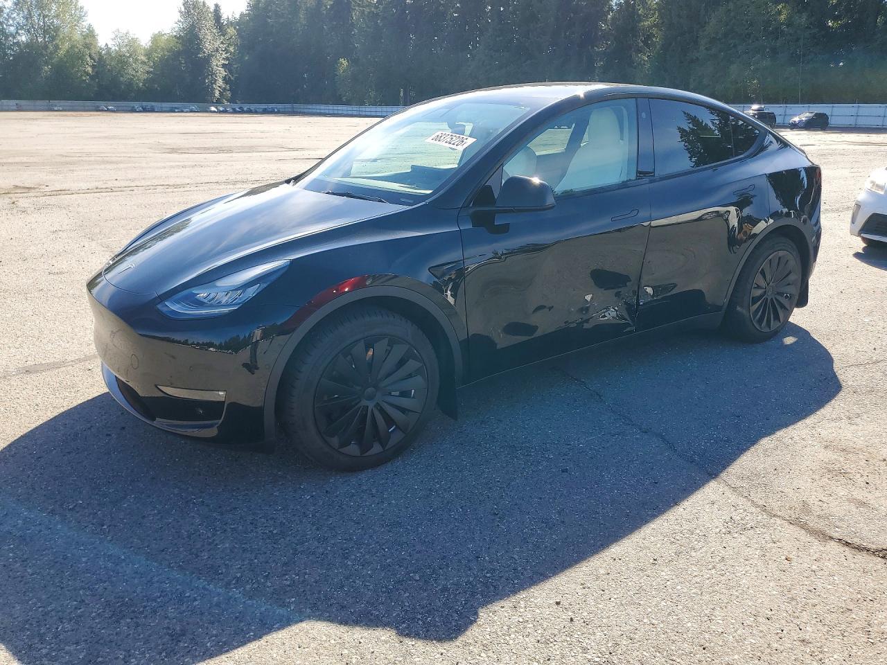 2021 TESLA MODEL Y 5YJYGDED1MF116297