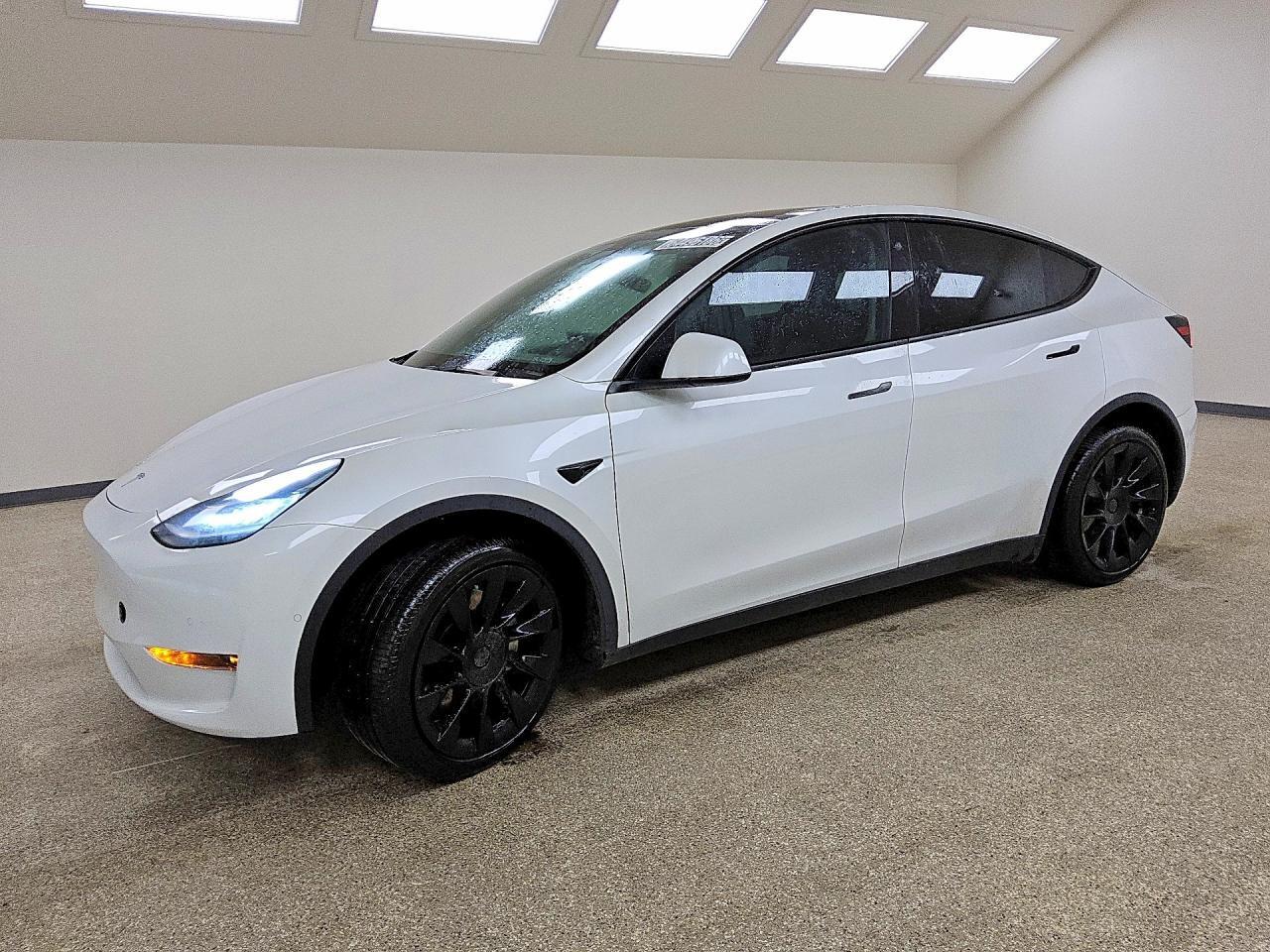2021 TESLA MODEL Y 5YJYGDEE8MF123823