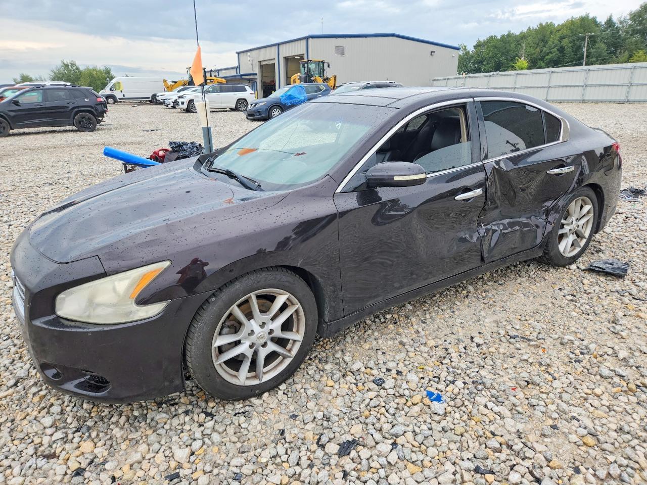 2010 NISSAN MAXIMA 1N4AA5AP4AC874822