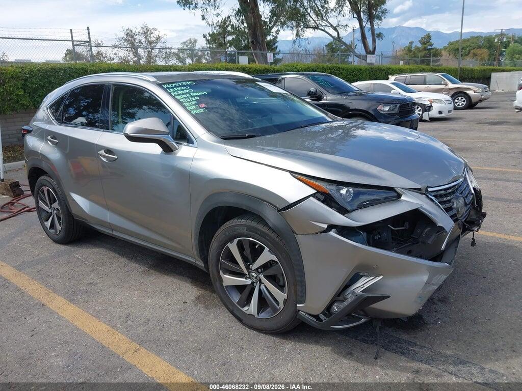 2019 LEXUS NX 300 JTJYARBZ3K2149670