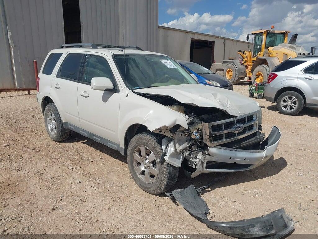 2010 FORD ESCAPE 1FMCU0E75AKD19290